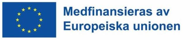 Logotype EU Medfinansiering