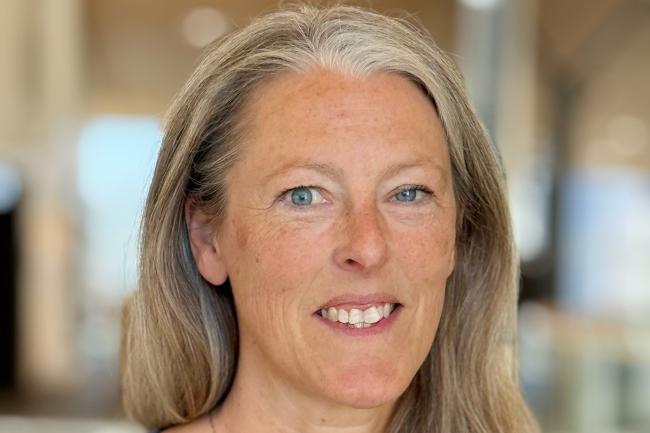 Helen Brink_doktor i pedagogiskt arbete_Karlstads universitet