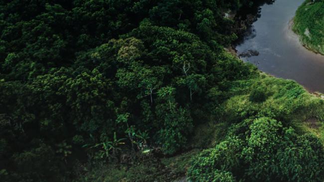 Amazonas