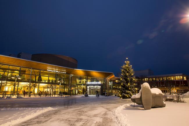 Julentré Karlstads universitet