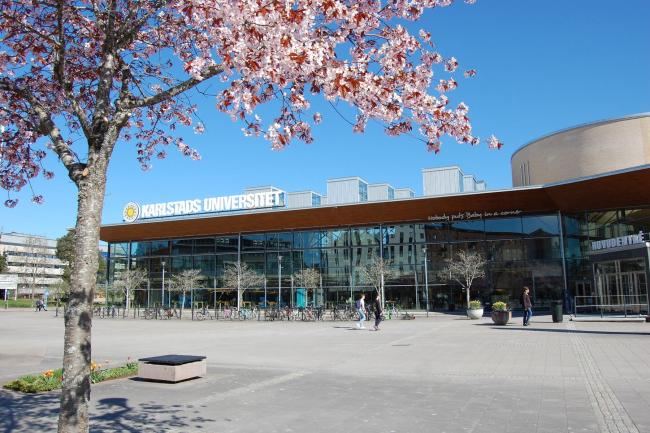 Körsbärsblom framför universitetsbiblioteket