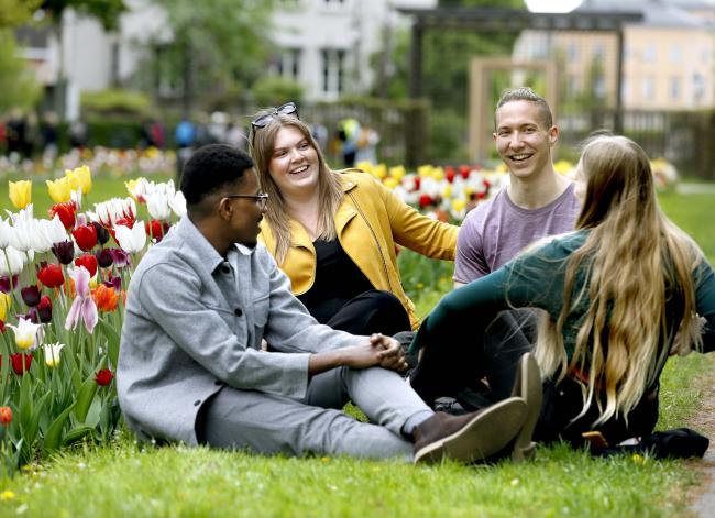 Students sitting on a lawn talking