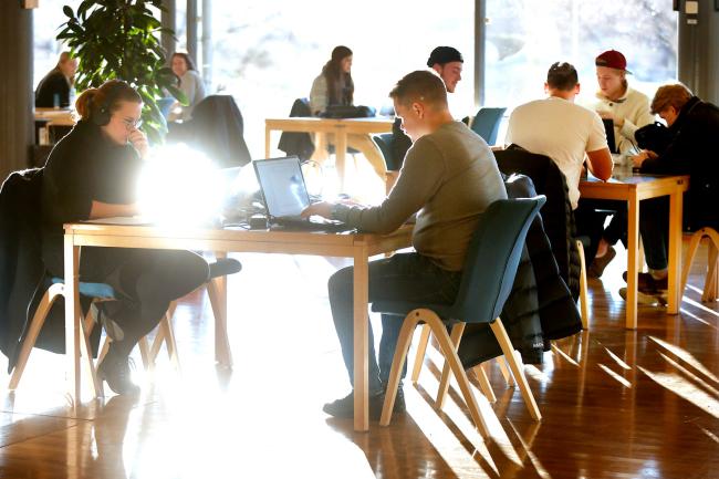 studenter pluggar i biblioteket