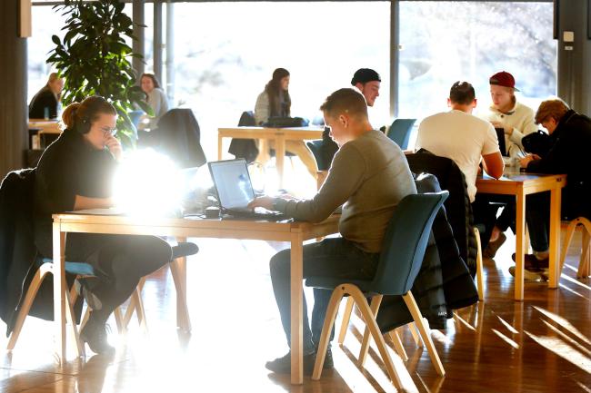 studenter pluggar i biblioteket