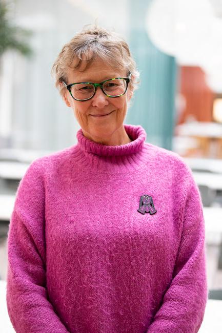 Mary-Rose McLaren, professor vid Victoria University Melbourne