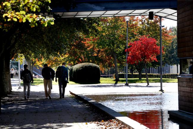 studenter går bredvid dammen i höstsol