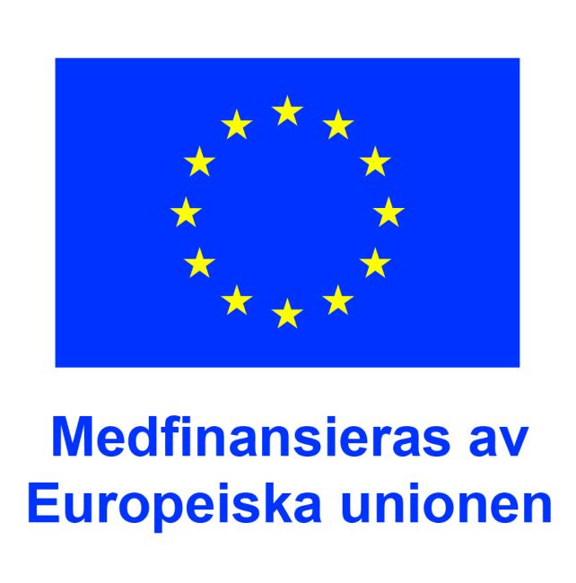 EU logo