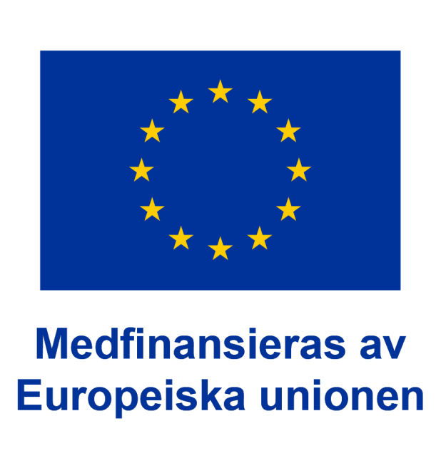 Logotype för Erasmus