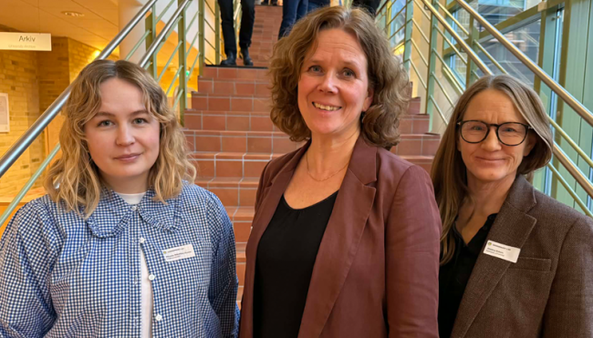 Mikaela Wikström Ruona  doktorand vid Umeå universitet  Marie-Louise Kristola  journalist på Sveriges Radio och Jessica Edlom  projektledare för Anderseminariet och lektor i medie- och kommunikationsvetenskap vid Karlstads universitet.