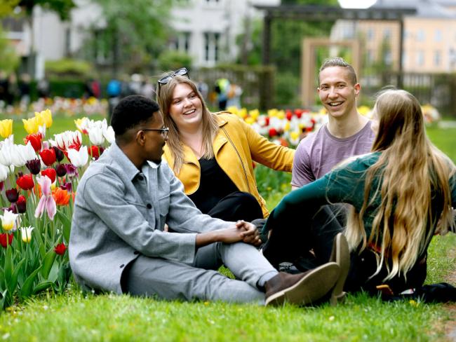 studenter som sitter i en ring i gräset
