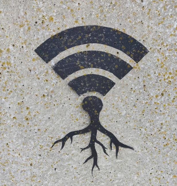 wifi