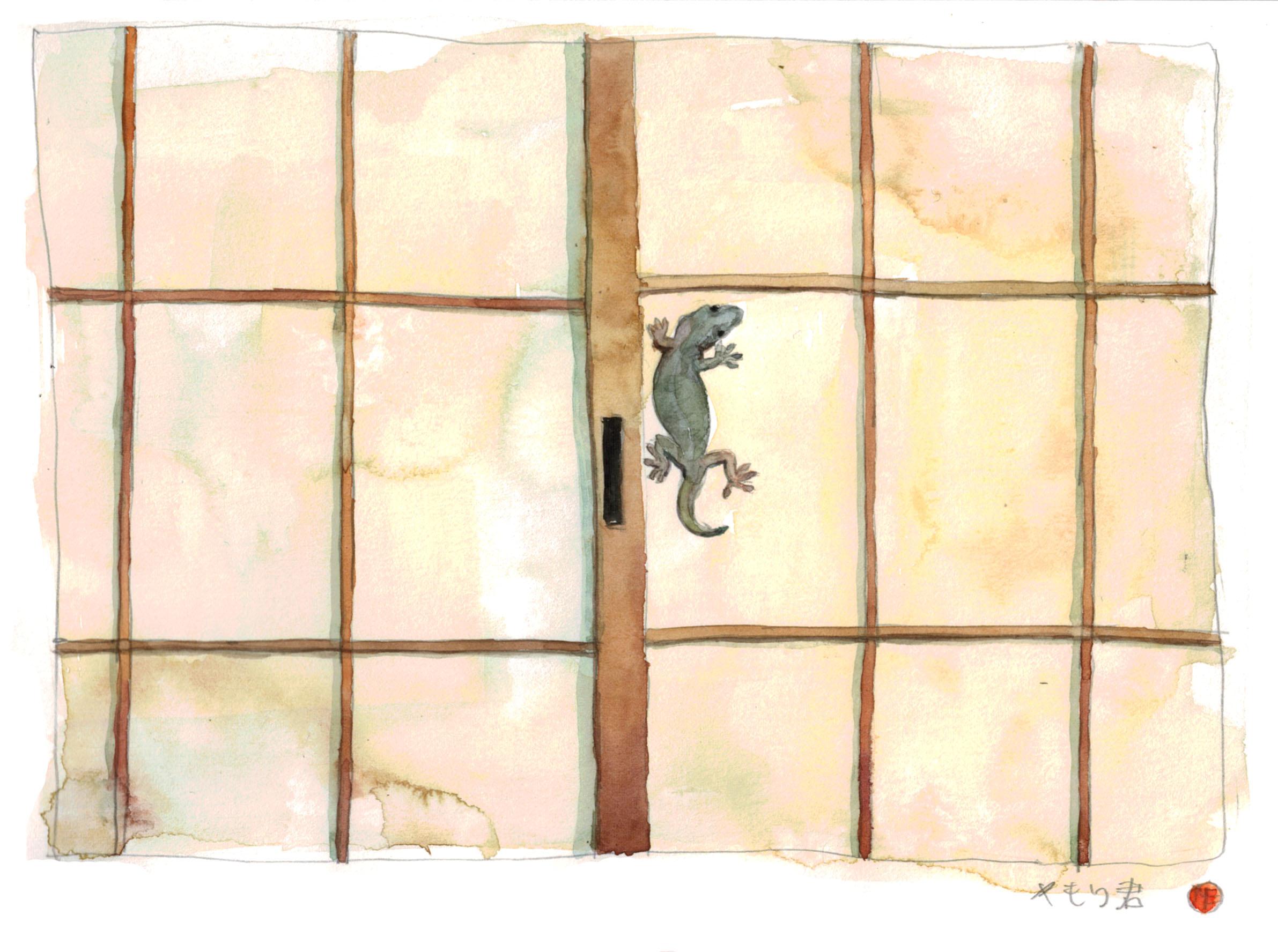 Gecko on the window