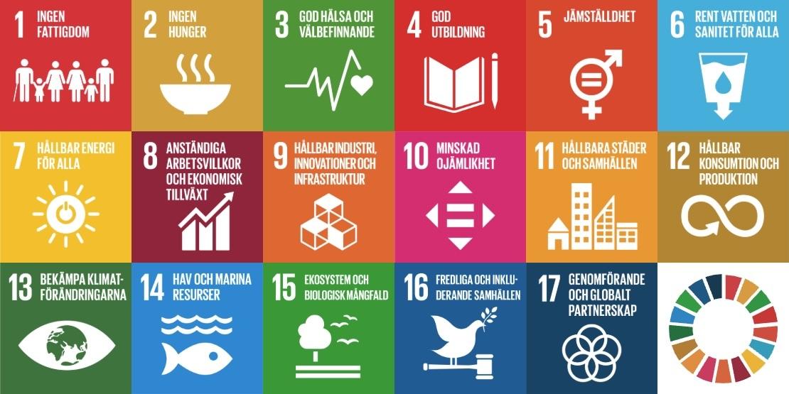 De 17 globala målen för hållbar utveckling.