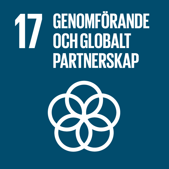 17. Genomförande och globalt partnerskap