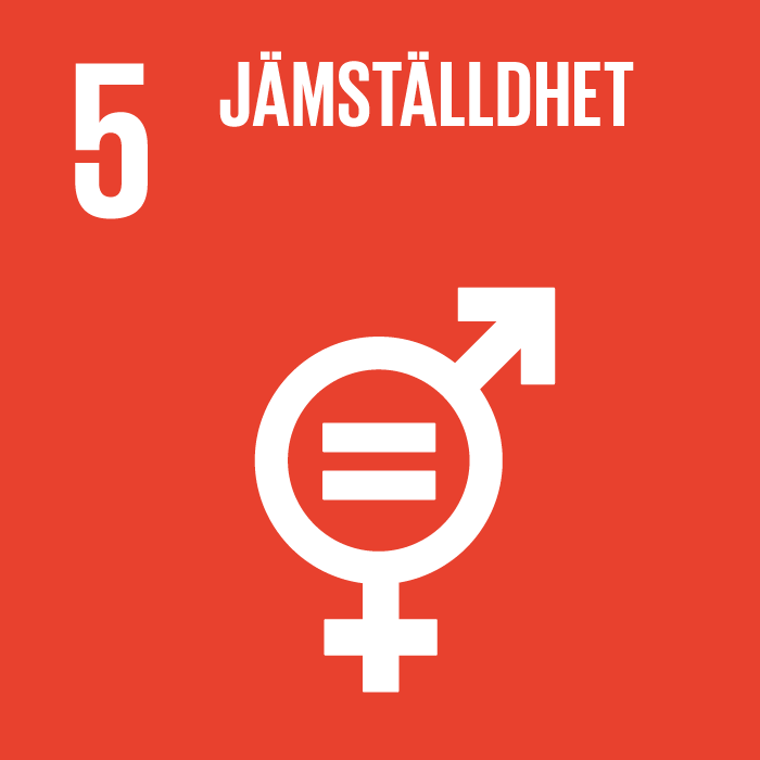 5. Jämställdhet mellan könen